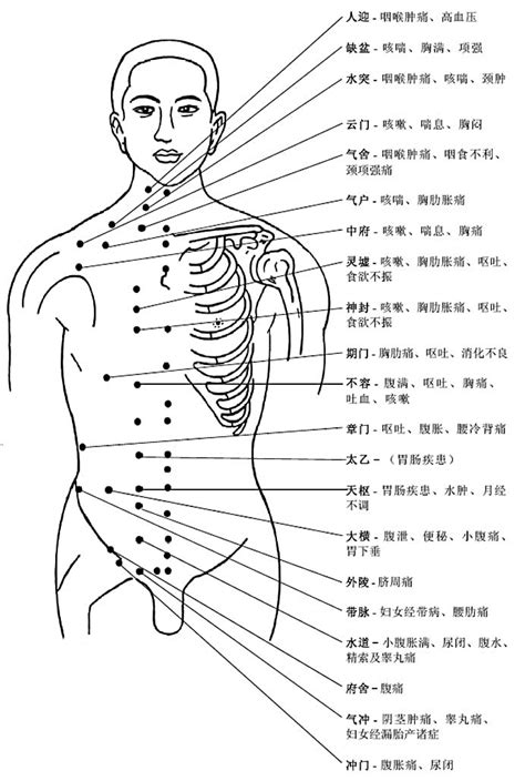 人身穴位圖|人體穴位圖